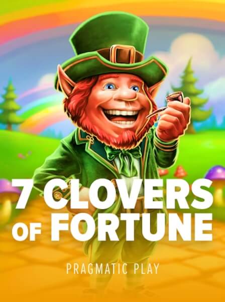 The Social Aspects of Playing at BluffCity Poker Venues